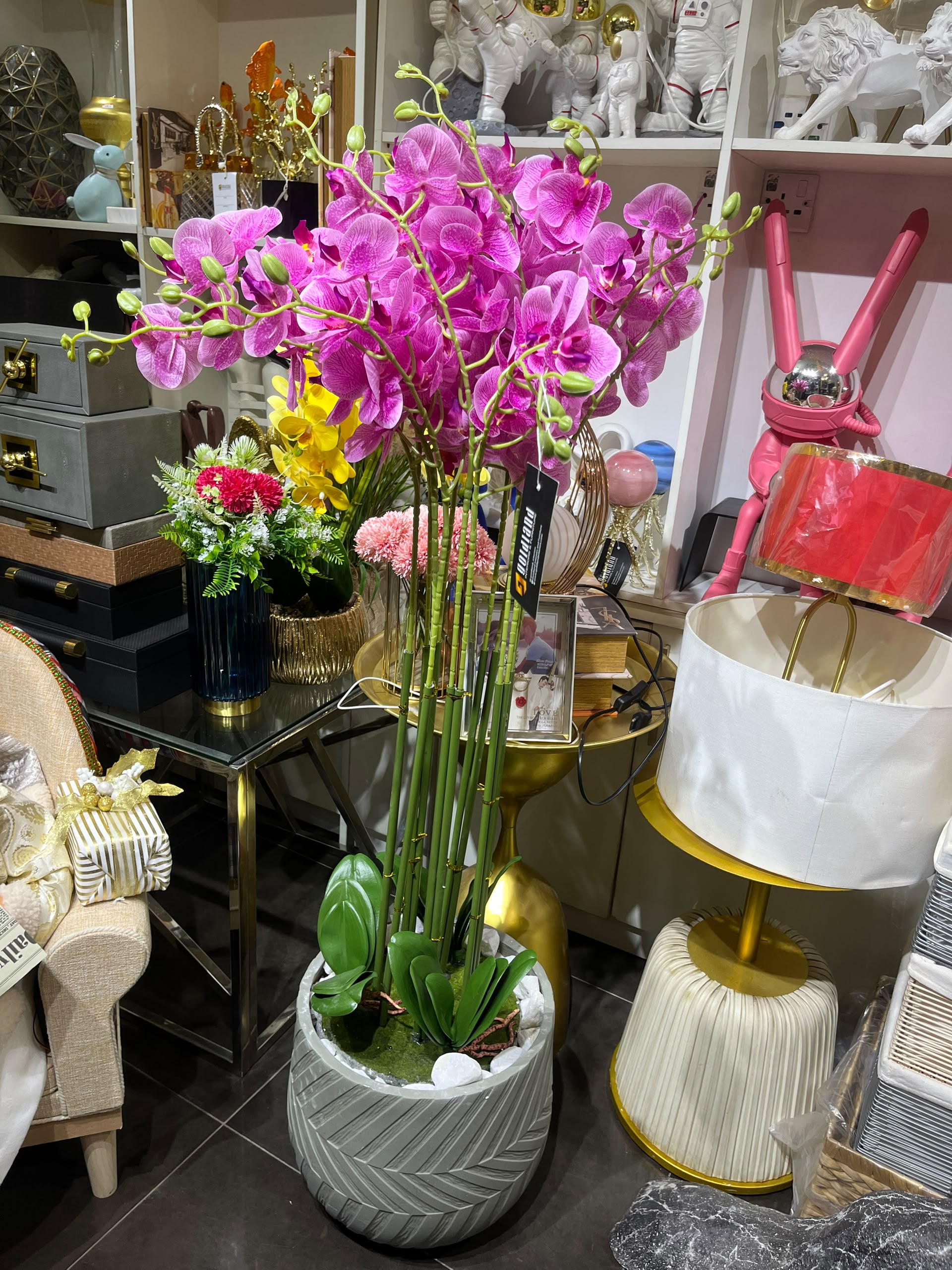 Goldland Luxury Pink Orchid Arrangement in Decorative Planter