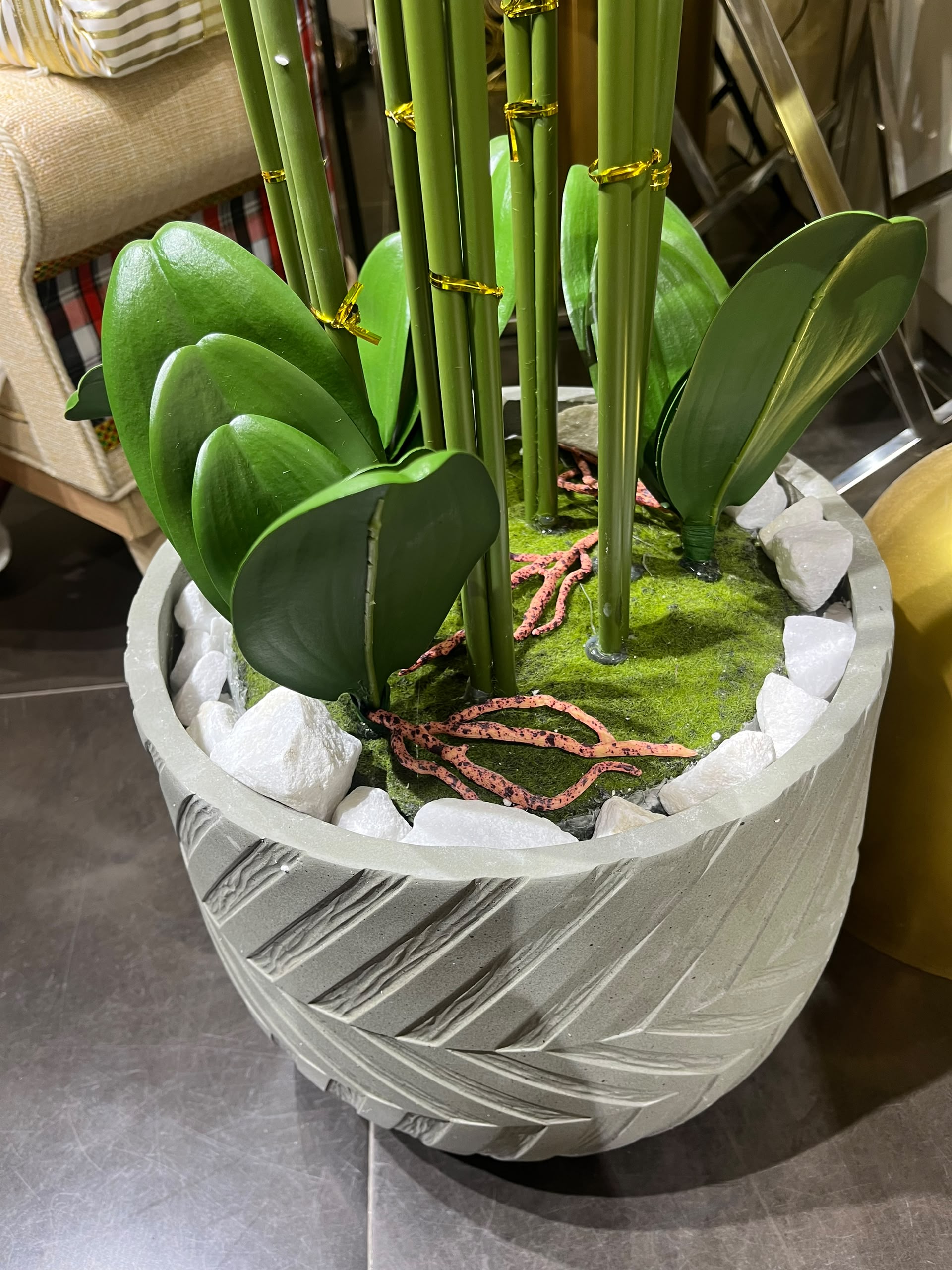 Goldland Luxury Pink Orchid Arrangement in Decorative Planter